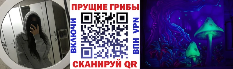 купить наркотик Порхов Псилоцибиновые грибы MAGIC MUSHROOMS