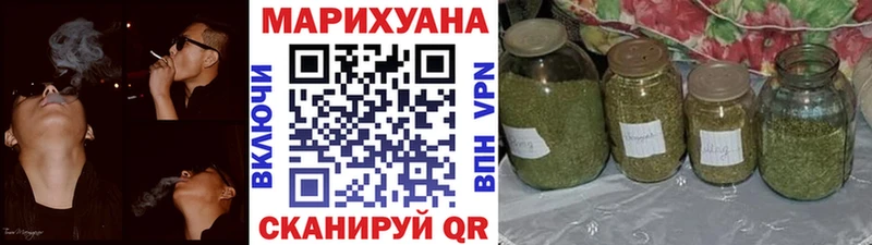 Конопля сатива  Порхов 